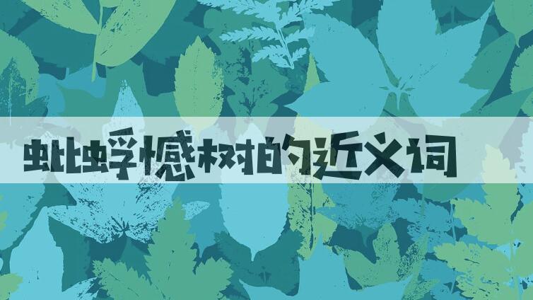 用蚍蜉憾树造句