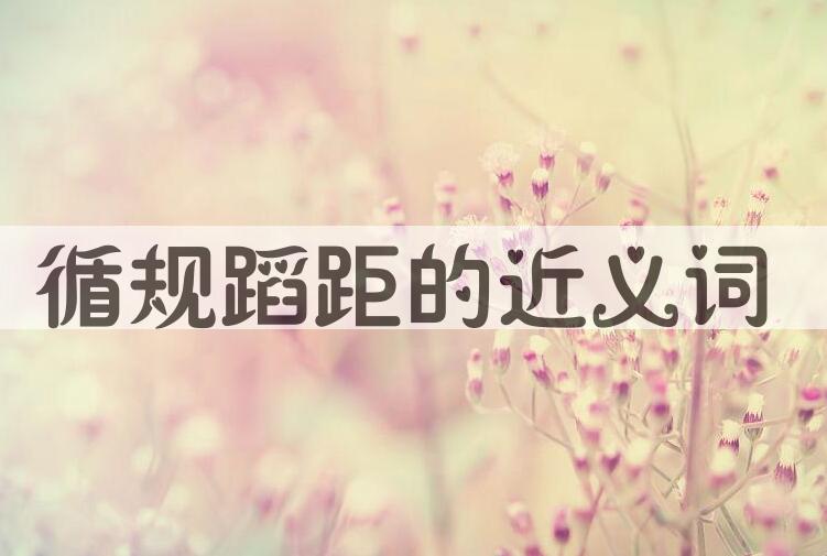 用循规蹈距造句