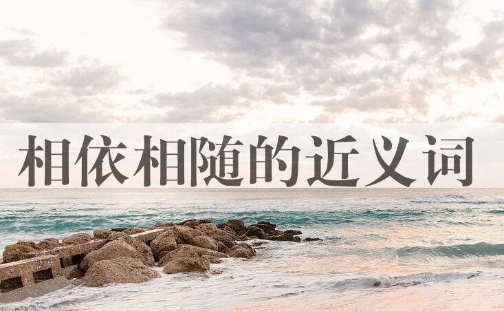 用相依相随造句