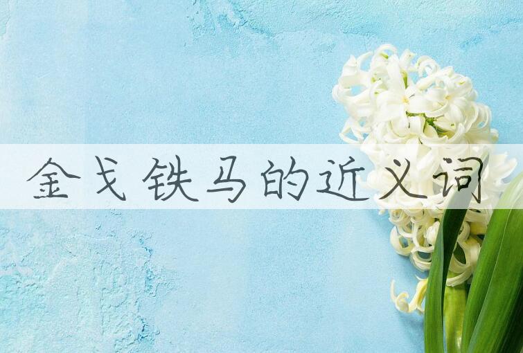 用金戈铁马造句