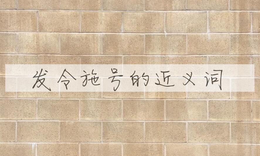 用发令施号造句