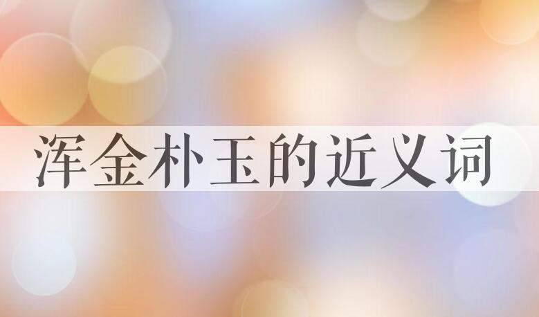 用浑金朴玉造句