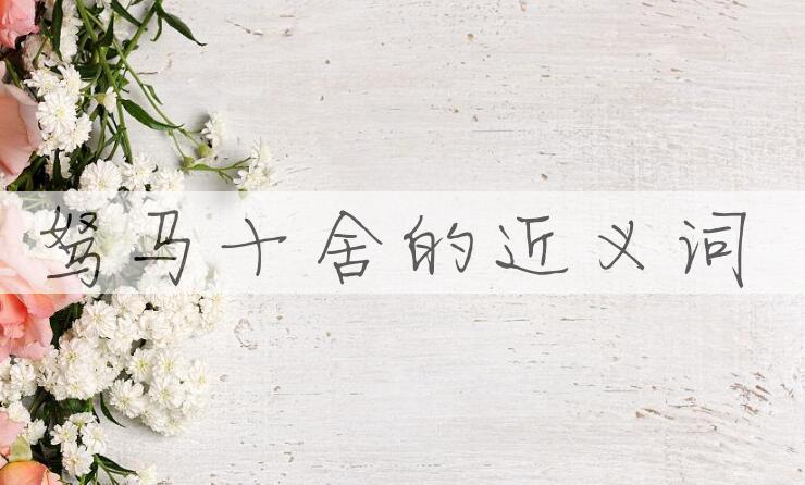 用驽马十舍造句