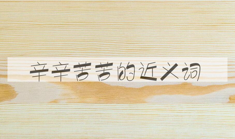 用辛辛苦苦造句