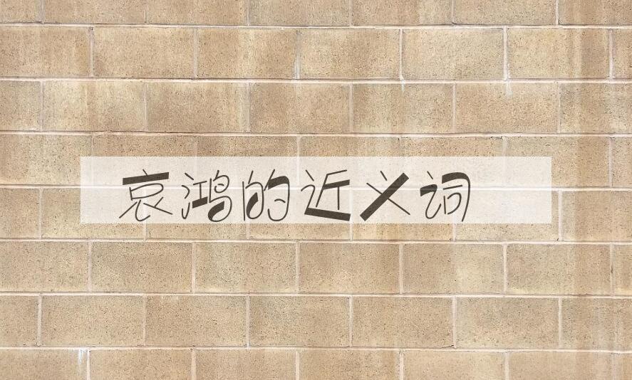 用哀鸿造句
