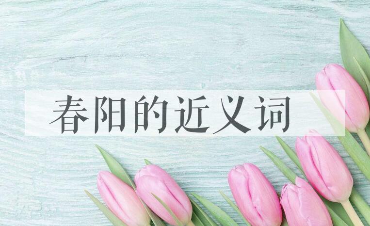用春阳造句