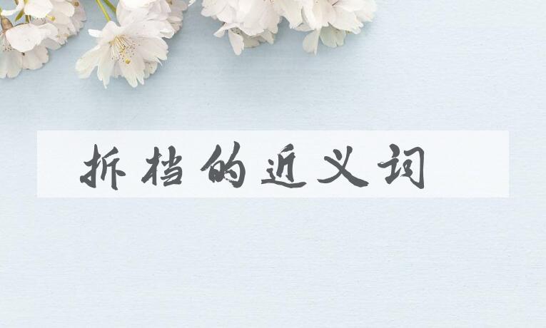 用拆档造句