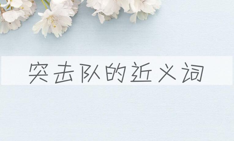 用突击队造句