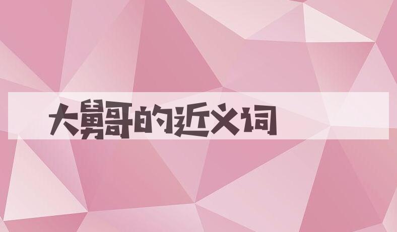 用大舅哥造句