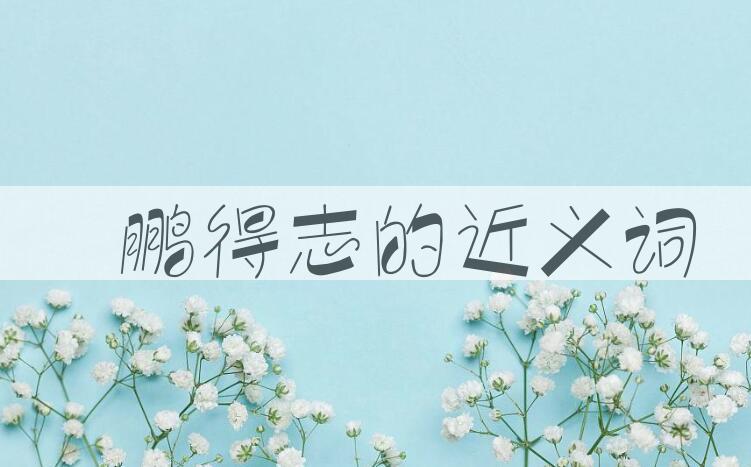 用鹍鹏得志造句