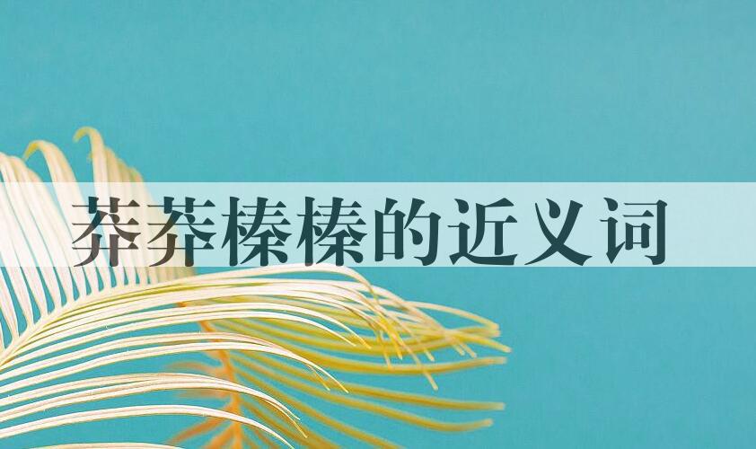 用莽莽榛榛造句