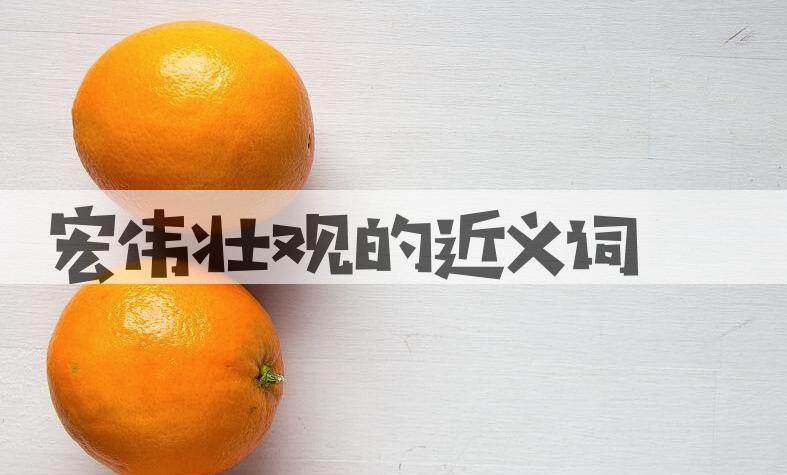 用宏伟壮观造句