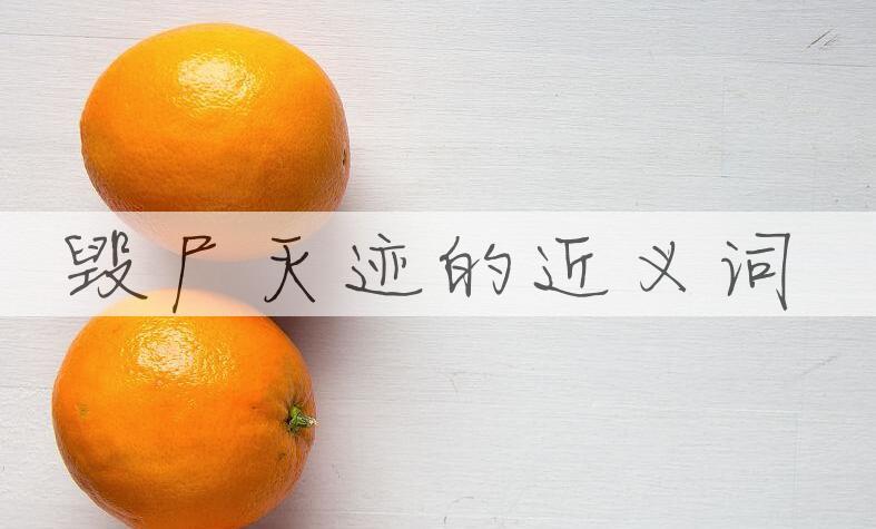 用毁尸灭迹造句