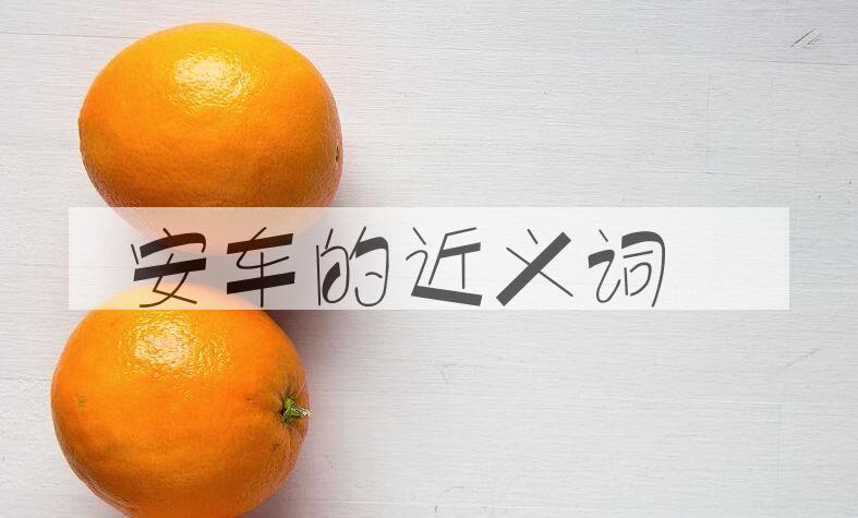 用安车造句