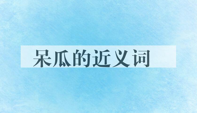 用呆瓜造句