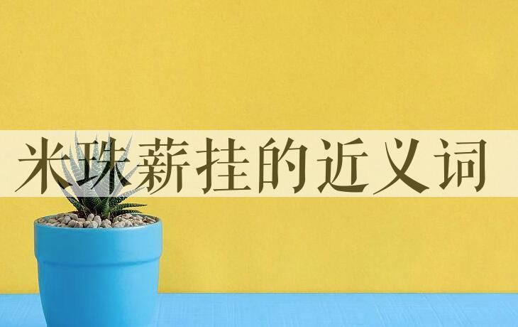 用米珠薪挂造句
