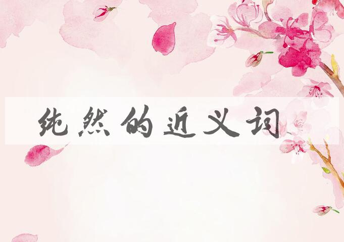 用纯然造句