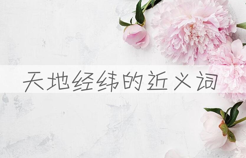 用天地经纬造句