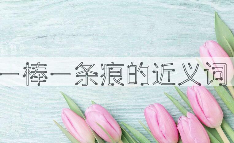 用一棒一条痕造句