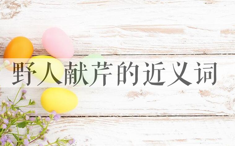 用野人献芹造句