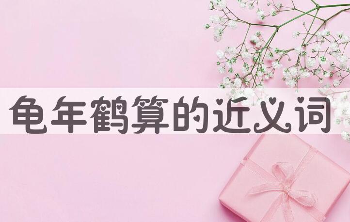 用龟年鹤算造句