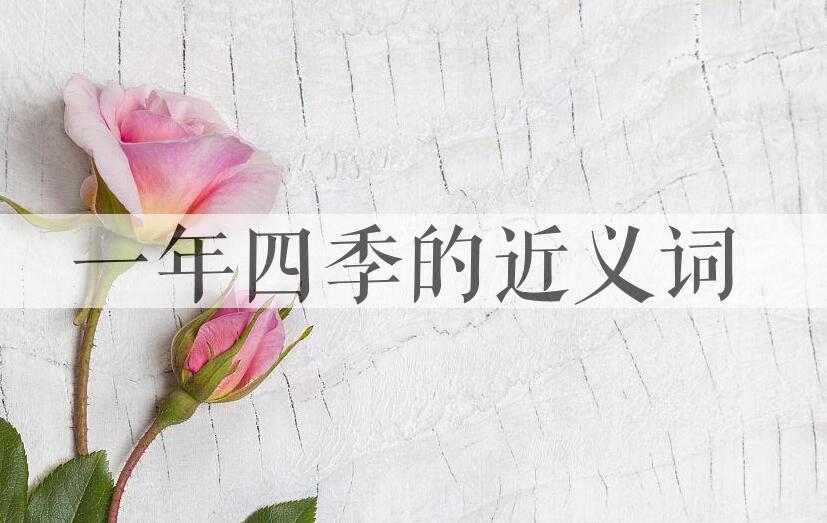 用一年四季造句