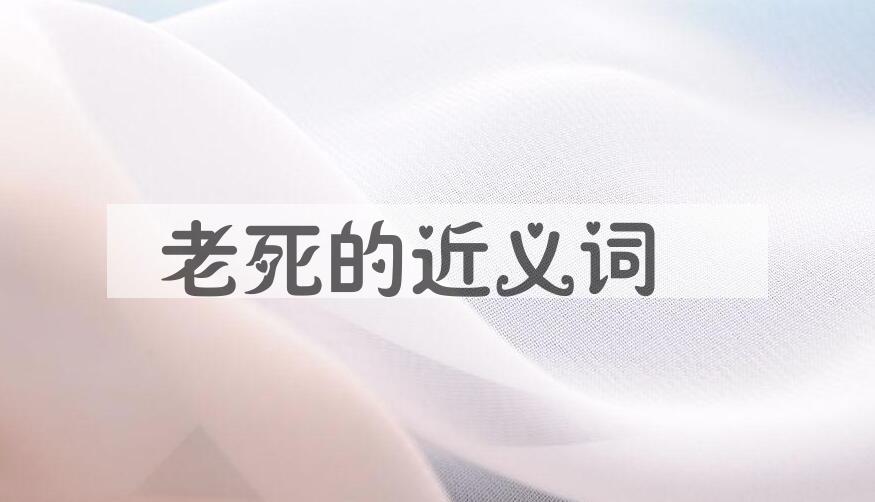 用老死造句