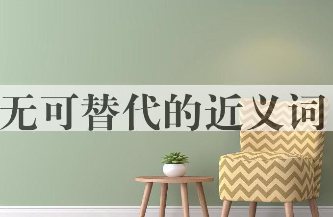 用无可替代造句