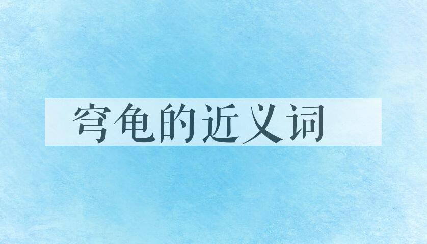 用穹龟造句