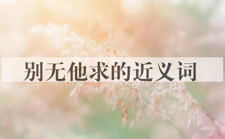 用别无他求造句