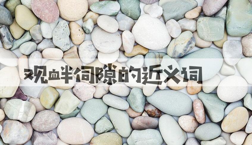 用观衅伺隙造句