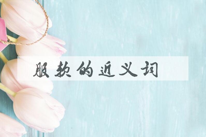 用服软造句