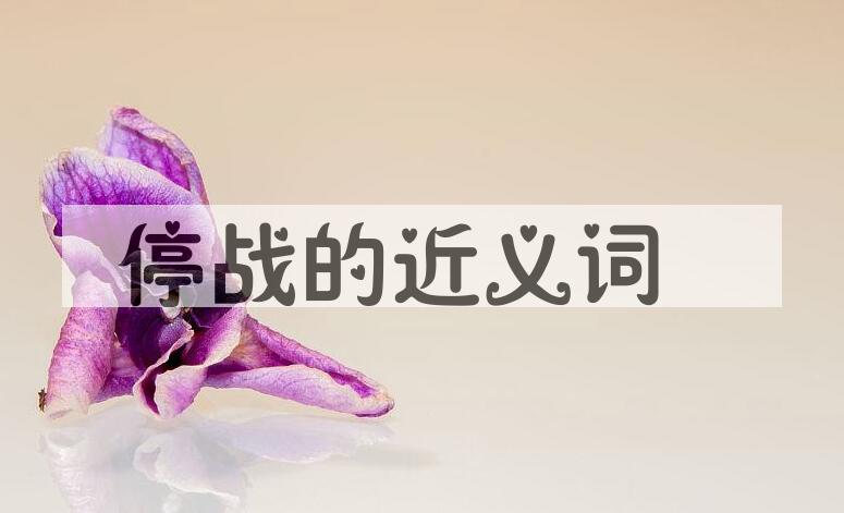 用停战造句