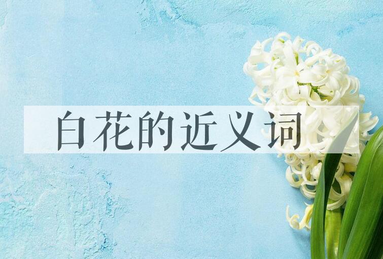 用白花造句
