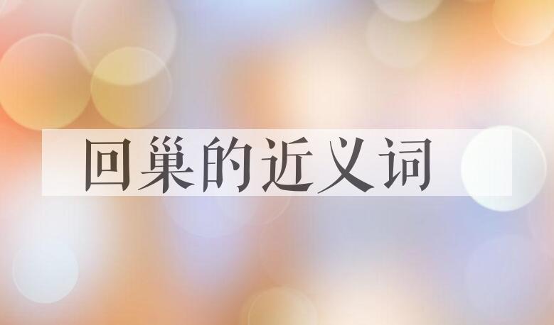用回巢造句