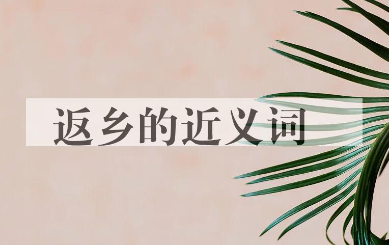 用返乡造句