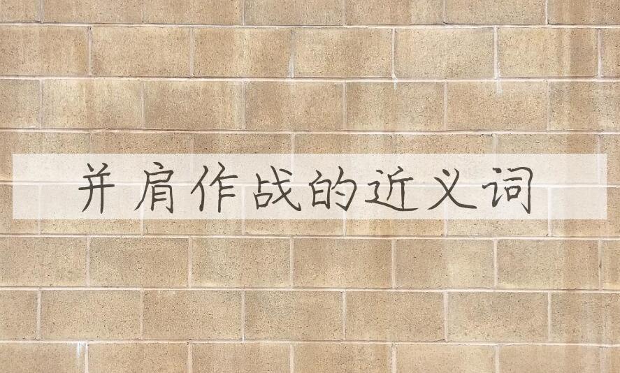 用并肩作战造句