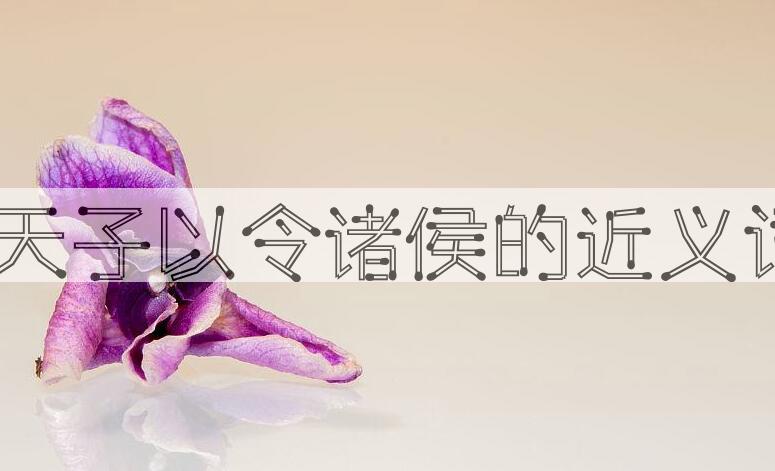 用挟天子以令诸侯造句