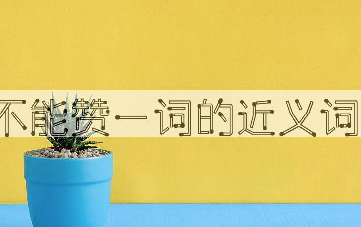用不能赞一词造句
