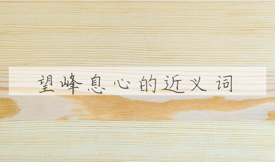 用望峰息心造句