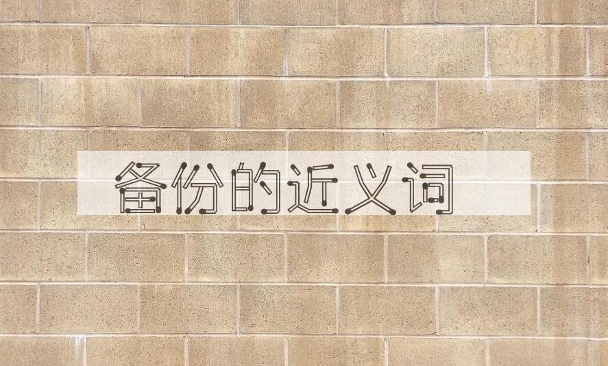 用备份造句