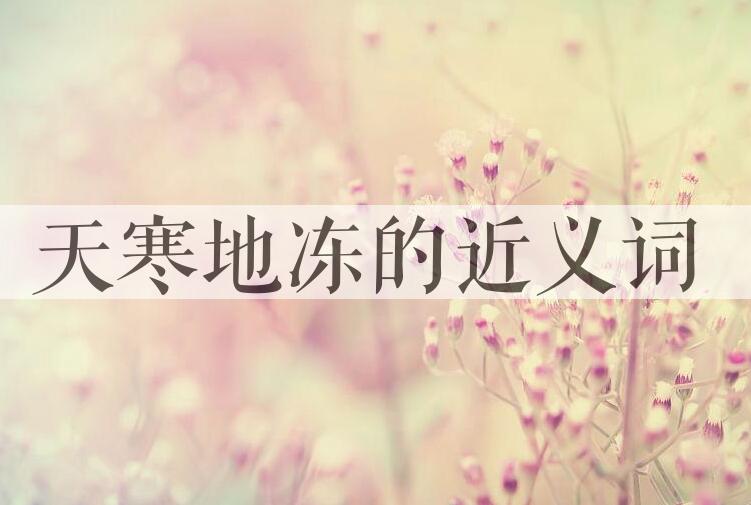 用天寒地冻造句