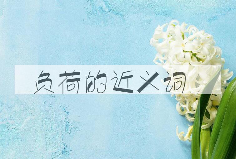 用负荷造句