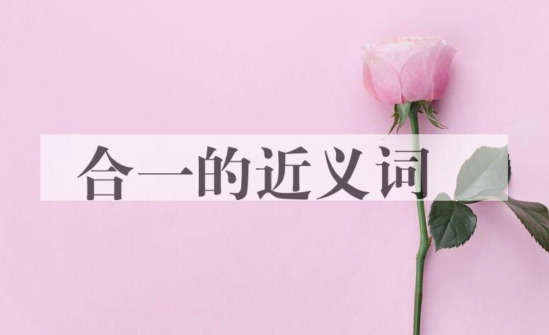 用合一造句