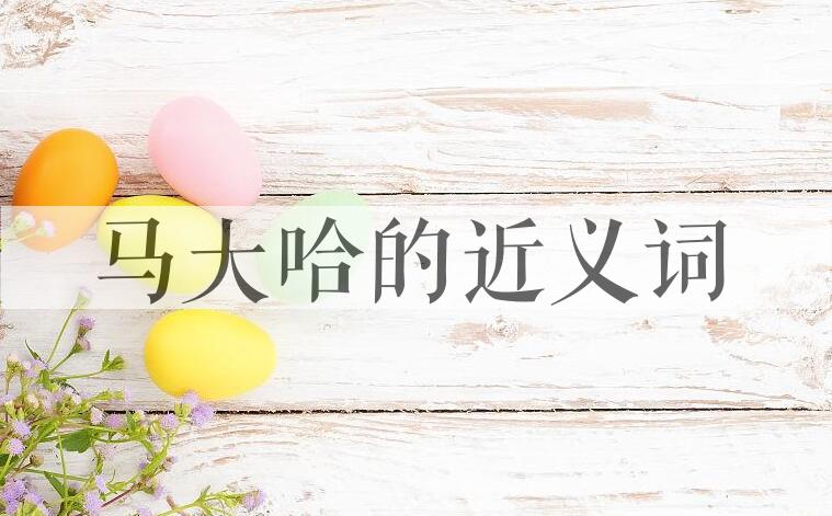 用马大哈造句