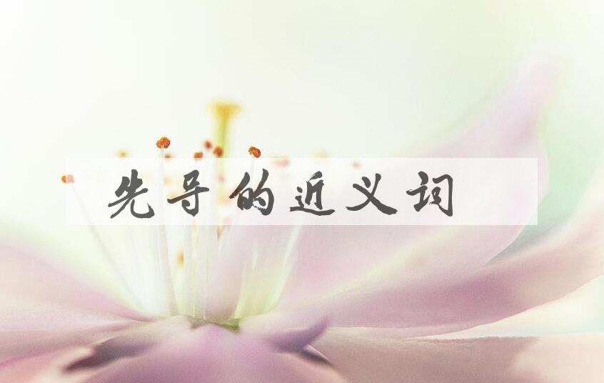 用先导造句