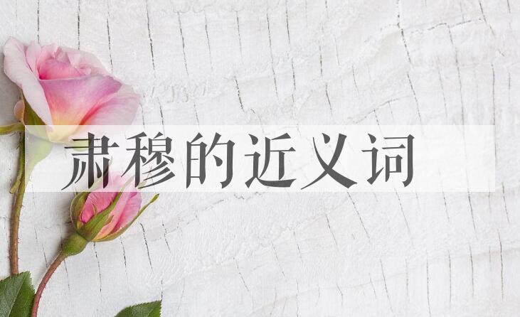 用肃穆造句