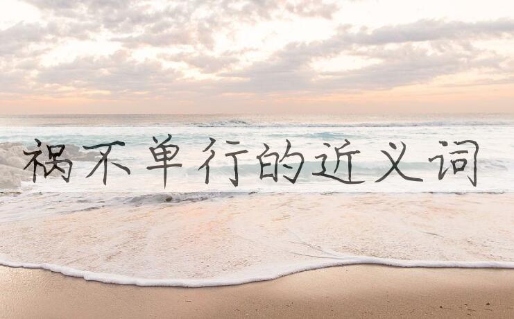 用祸不单行造句