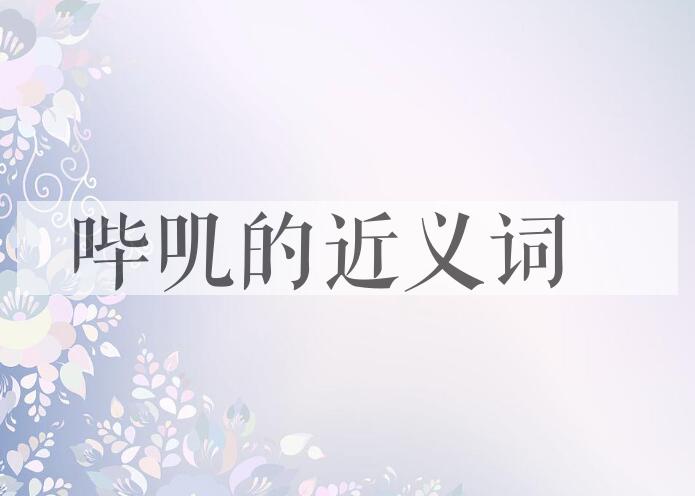 用哔叽造句