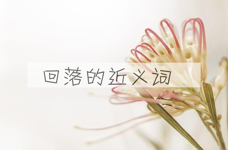 用回落造句